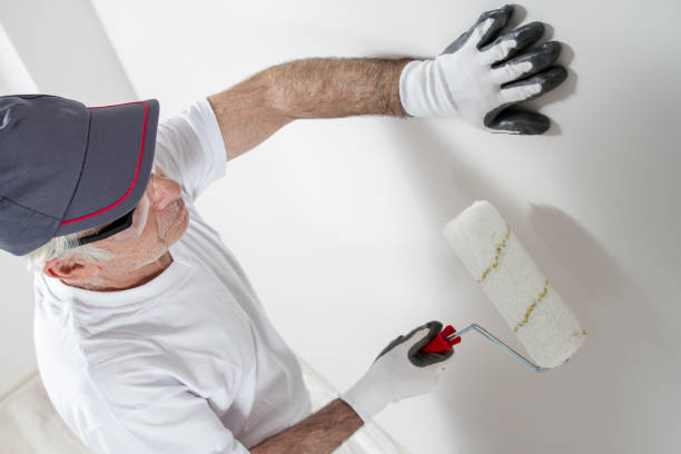 Best Drywall Removal and Disposal  in Kilmarnock, VA